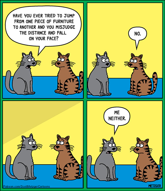 223443087_360963178720444_597778441377861991_n.jpg