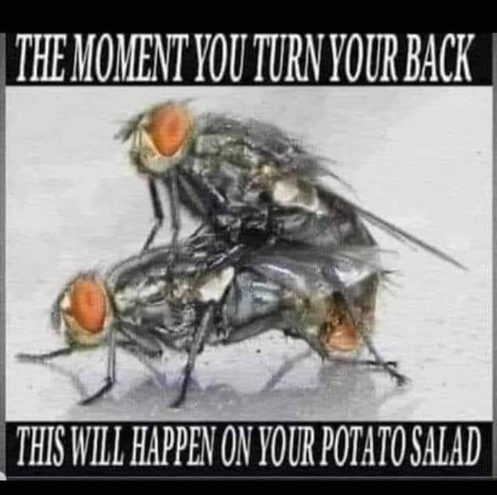 235344511_3003044509914237_1800008782658741419_n.jpg