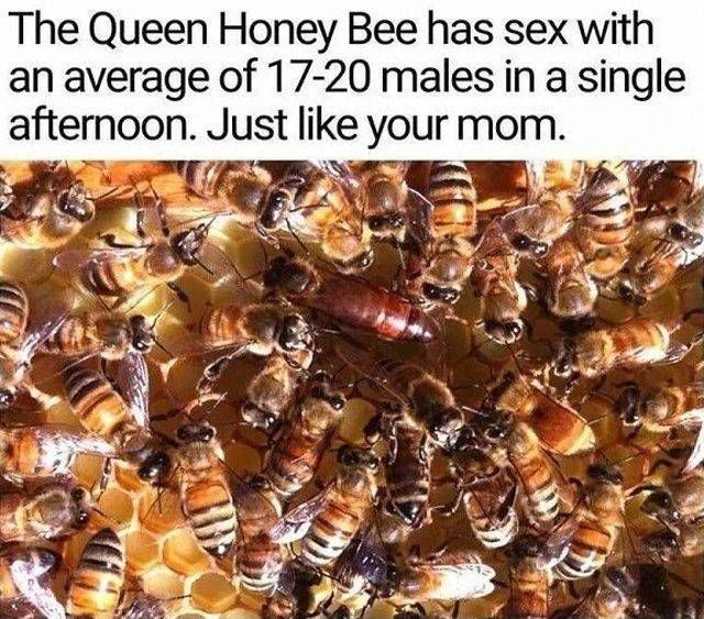 27260e96a6d597f3972b6af06b504804.jpg