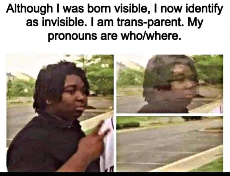 278598608_1687045728308542_6921796499814168316_n.jpg