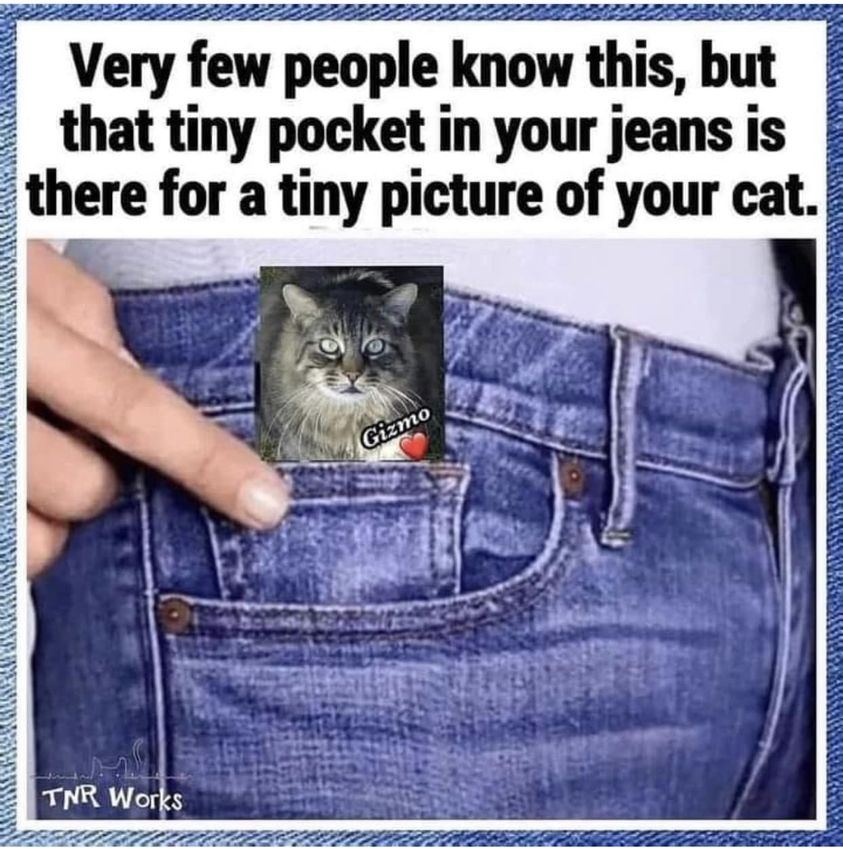 342366909_772266520934833_5976461275907572569_n.jpg