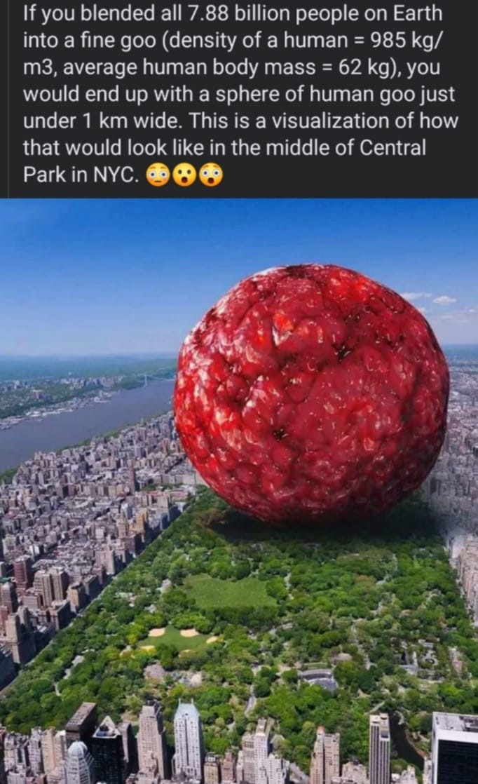 363338639_6744095648984016_3485621018522701883_n.jpg