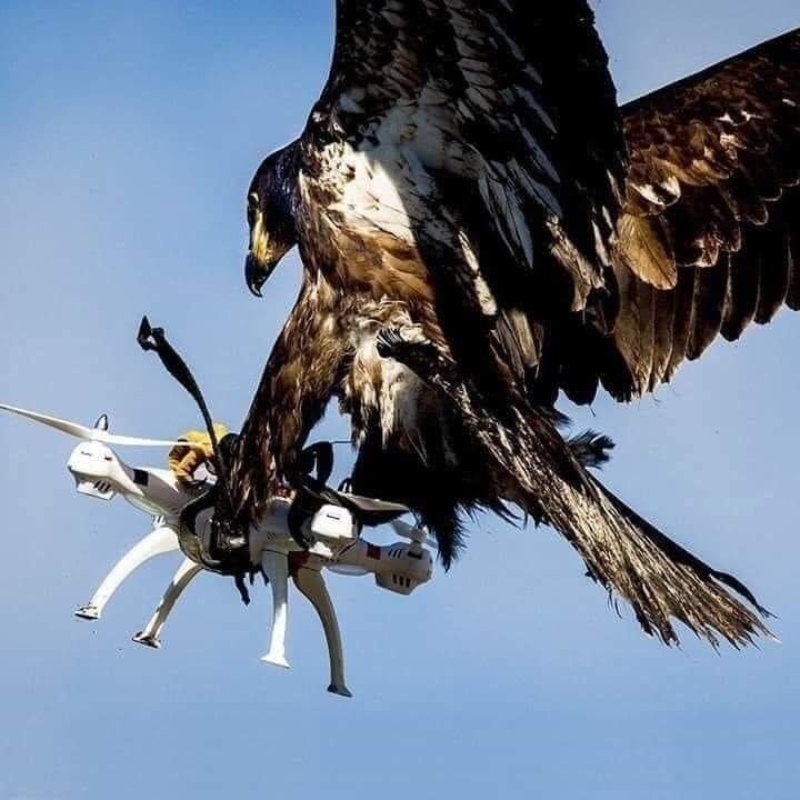 366091133_136333676186497_8406722545085005363_n.jpg