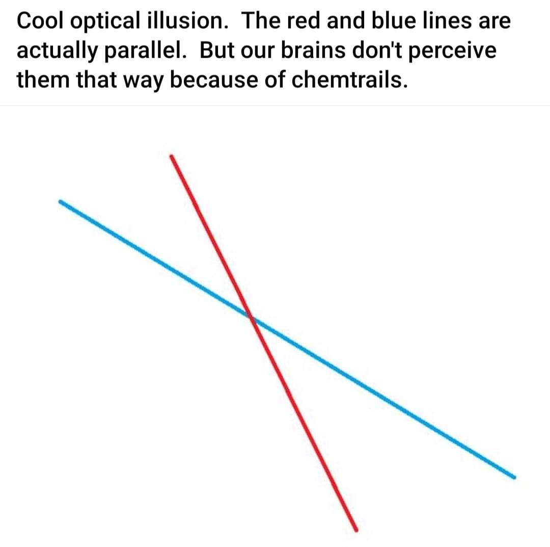393466591_651338297147480_3361205225983110903_n.jpg