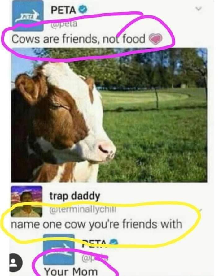 3FB4B3B6-142E-4449-BC10-F80F2FB5CBA7.jpeg