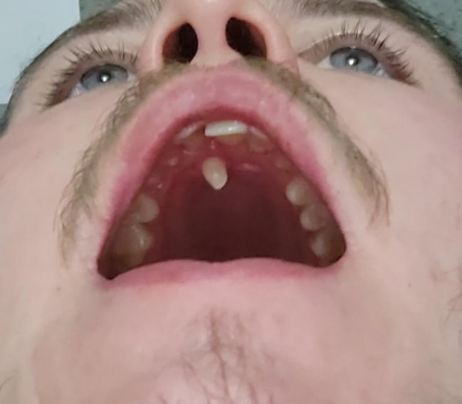3humannatureMAN.jpg