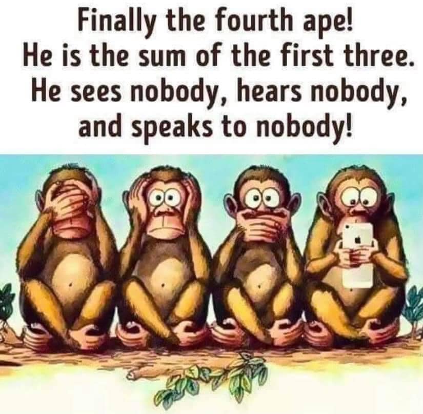 4 apes.jpg
