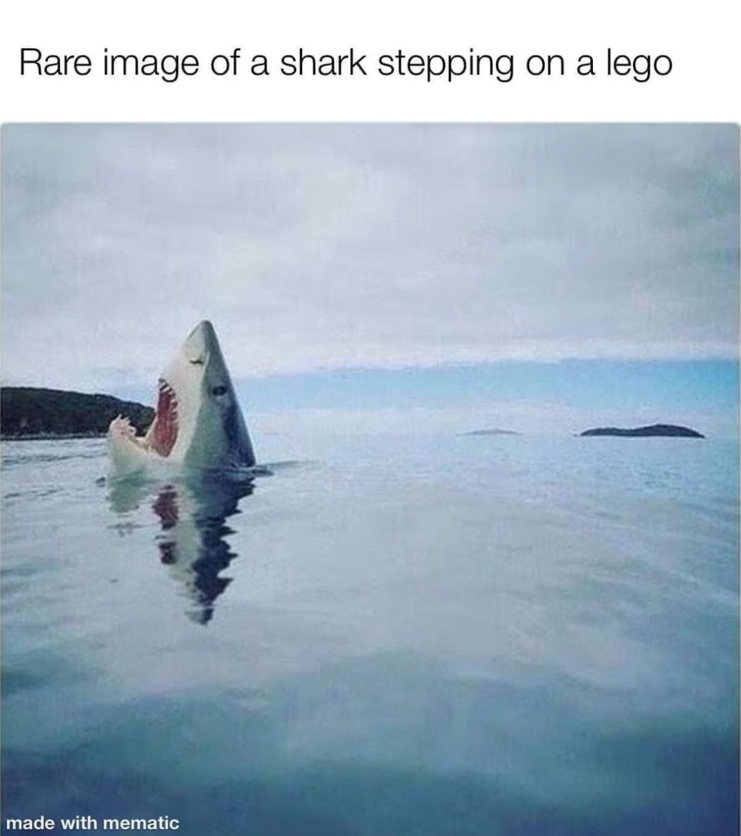 408834065_729287829225531_4214960769007026416_n.jpg