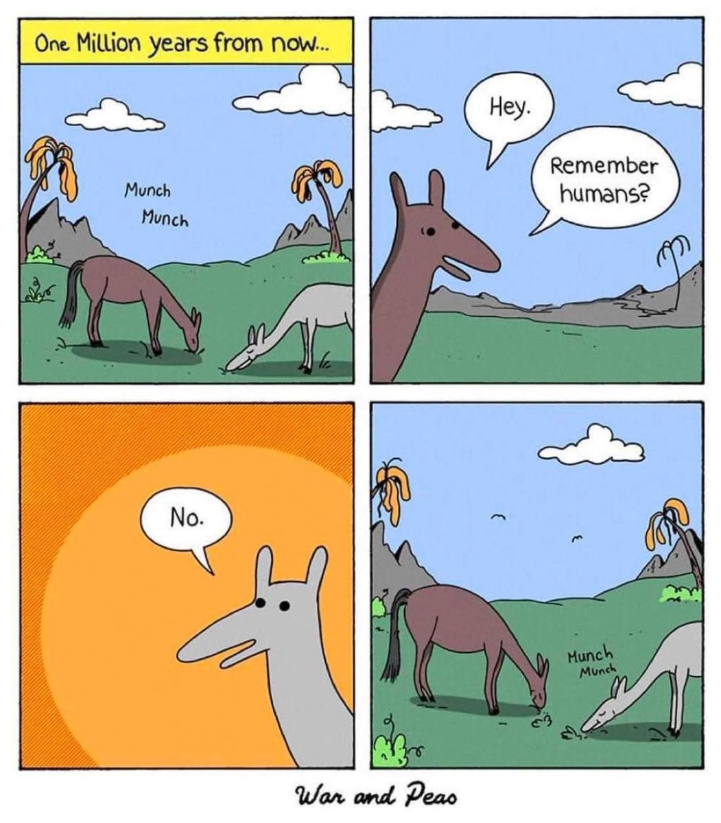 415246082_770265778462575_9162994801228529688_n.jpg