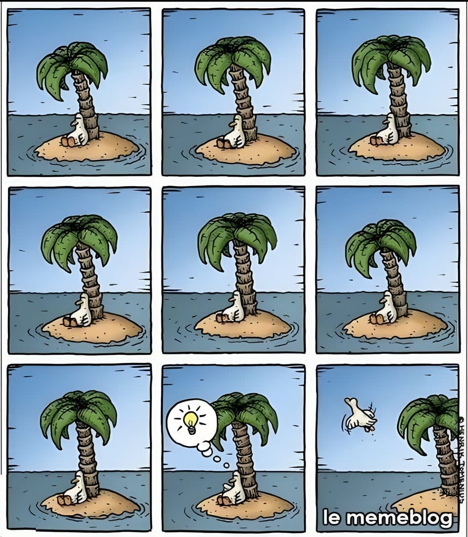 433647141_785395753463594_4329575426462825036_n.jpg