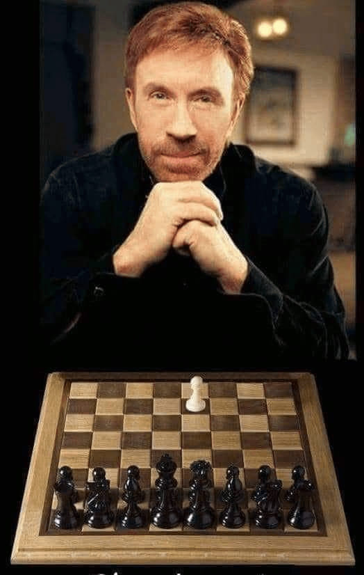 437942943_981926940183074_7837249624828334307_n.jpg