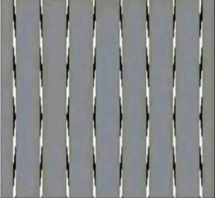 449037537_433735512955415_2948294178231453945_n.jpg