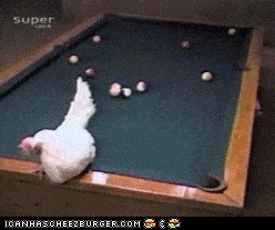 453558E6-9A1B-4E26-95A0-E67AD9500375.gif