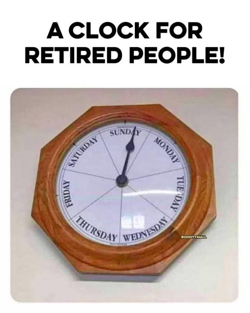 494302943_122200442468056929_7829171825346295314_n.jpg
