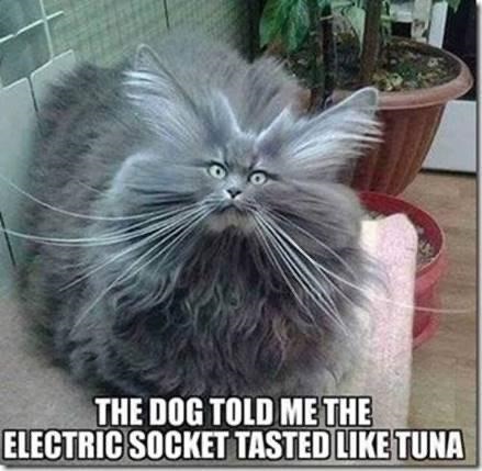 4CB54217-668E-4DDD-9E2A-1EBE5AF1EFCE.jpeg
