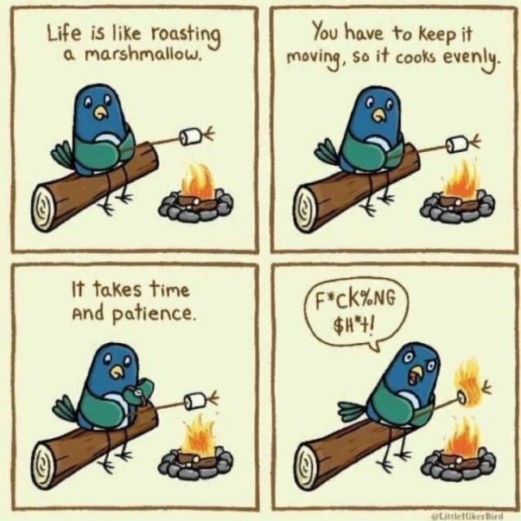 52311738e02ca093.jpeg