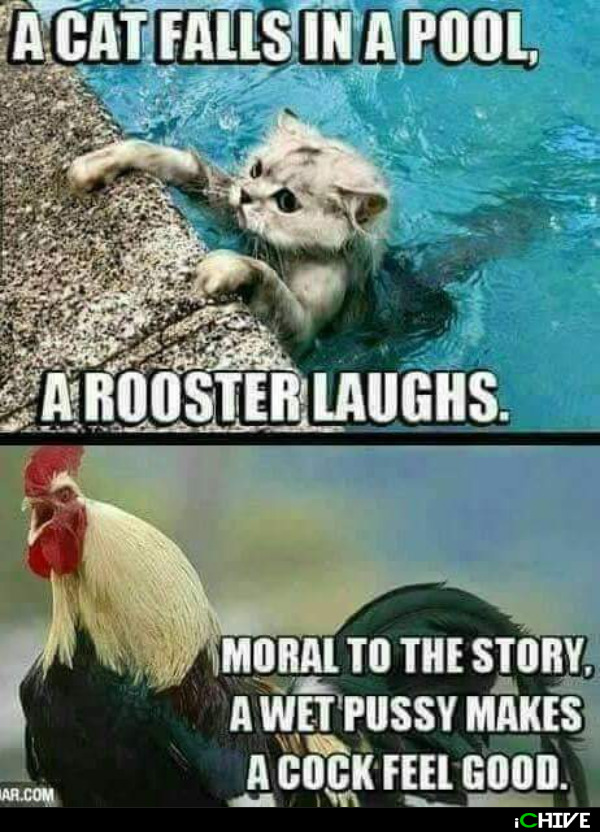 53ba28e6607b5552d47759079bd34805.png