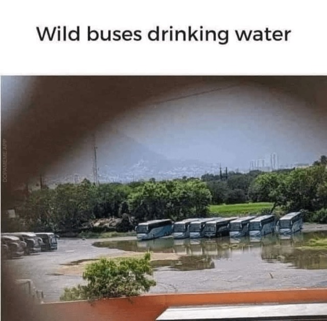 567E91E9-F0EC-465D-9759-9D84DFBFBE6A.jpg