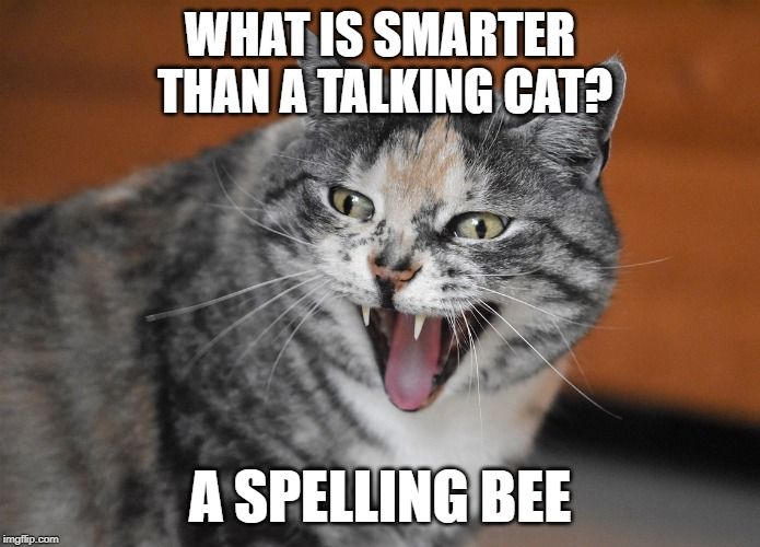 594df42f33ee38aaa64394f6c2baa517.jpg