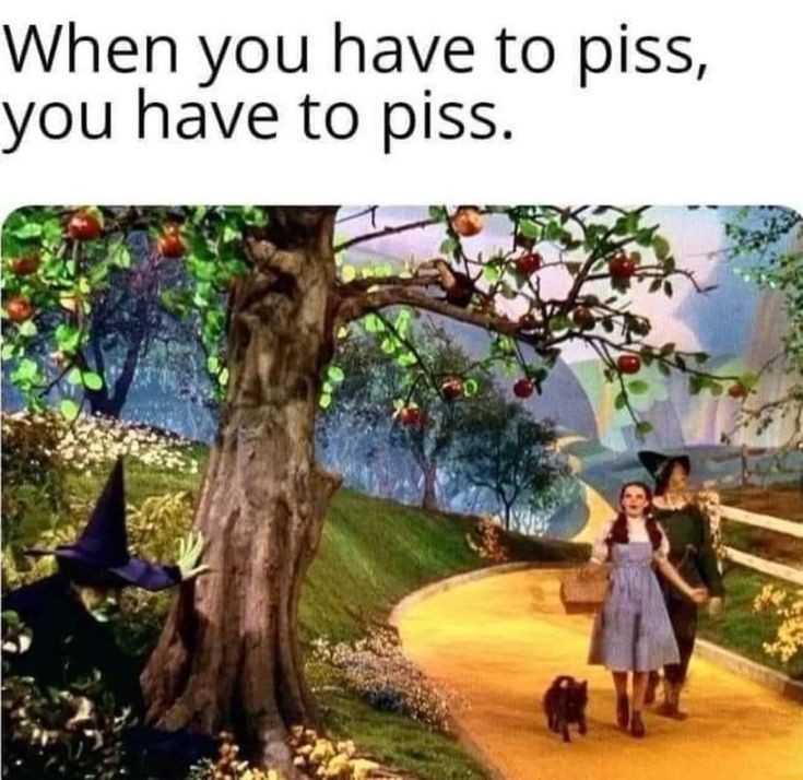 5a2076f61528bc5e5fae255dd6c53b4a.jpg