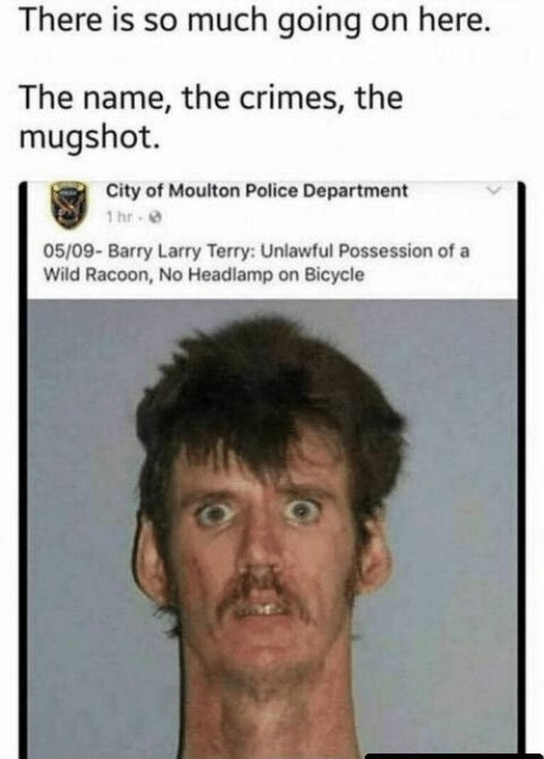 5c4afe76511f8.jpeg