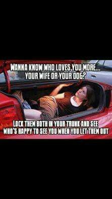 608a61fe6a9edc2862d4b9161842a8ce.jpg