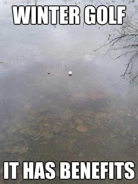 645BC536-0F24-437F-8201-AB0F5861825A.jpeg