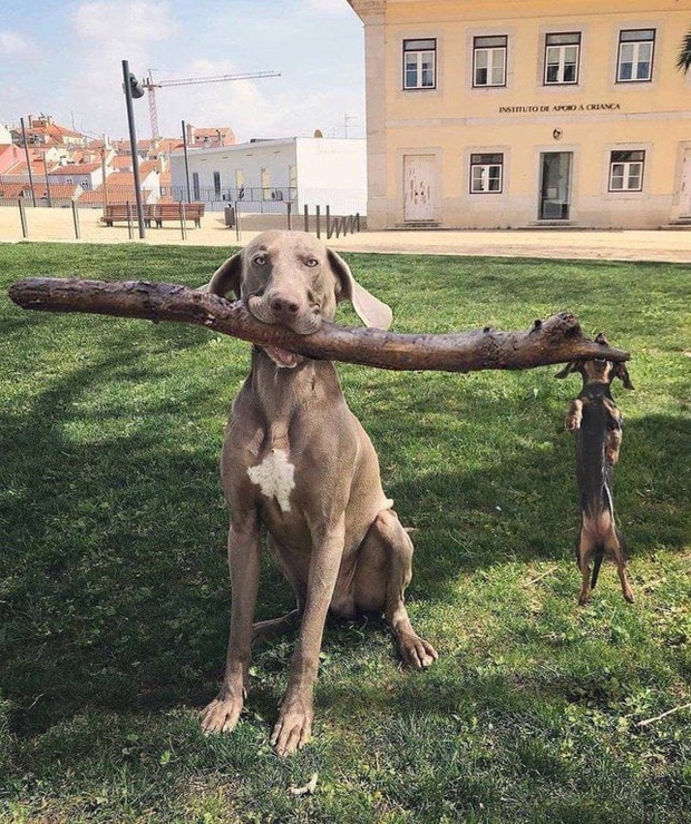 75245_yjmtbrnijmuk8c5_full.jpeg