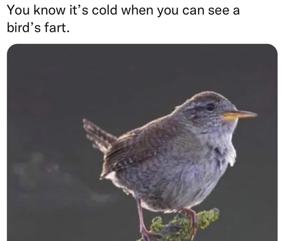 7847272430c36bf.jpeg