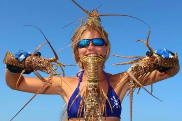 7bd9d46e-fishing-lobsters-everywhere.jpg