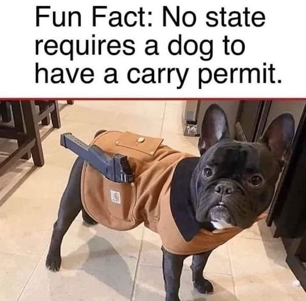 87315029.jpg
