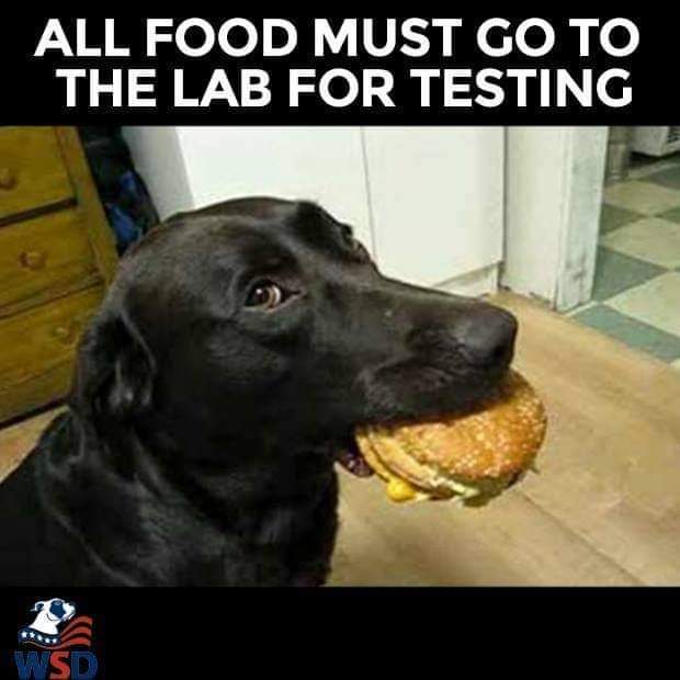 9BCB8E46-EE75-460D-B6FE-54214BBD5778.jpeg
