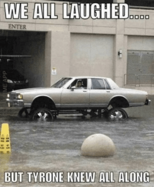 A252C719-0C06-4A58-8D85-6E7343A68F2A.png