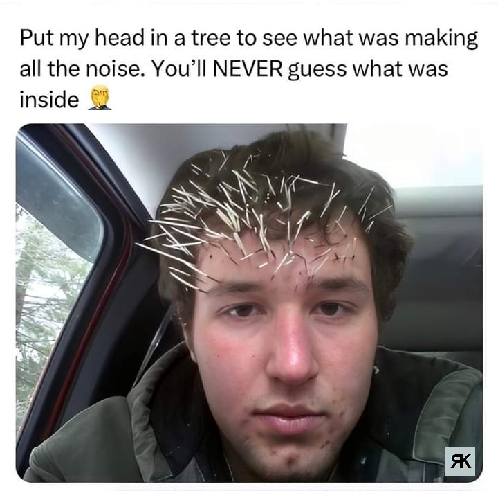 aa.jpeg