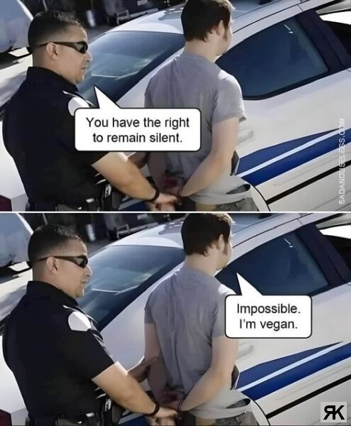 aa.jpeg