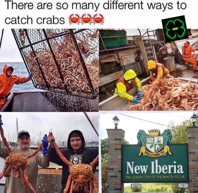 aa.jpg