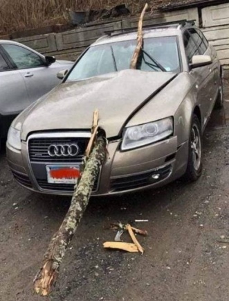 aa.jpg