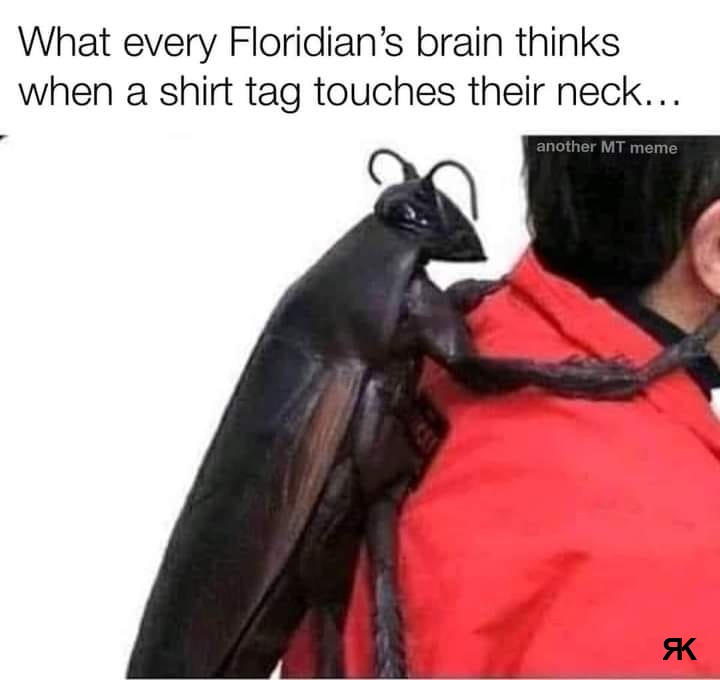 aa.jpg