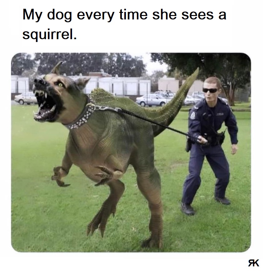 aa.jpg