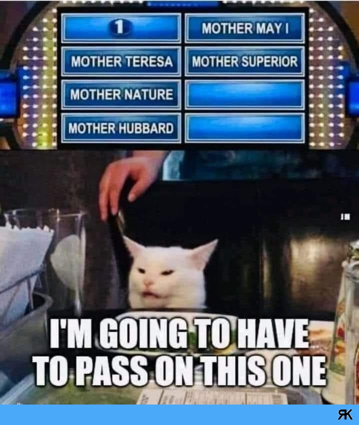 aa.jpg