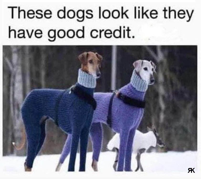aa.jpg