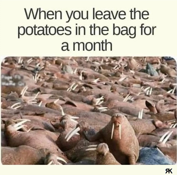 aa.jpg