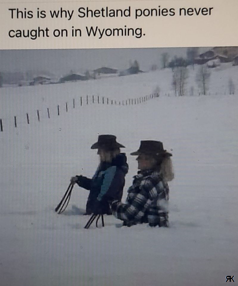 aa.jpg
