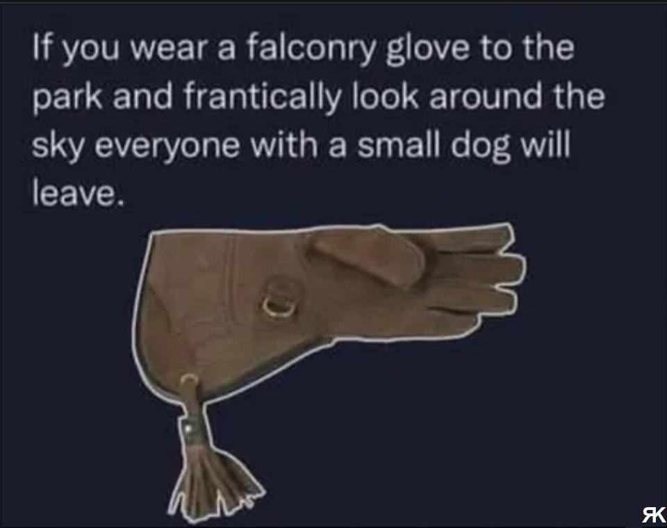 aa.jpg
