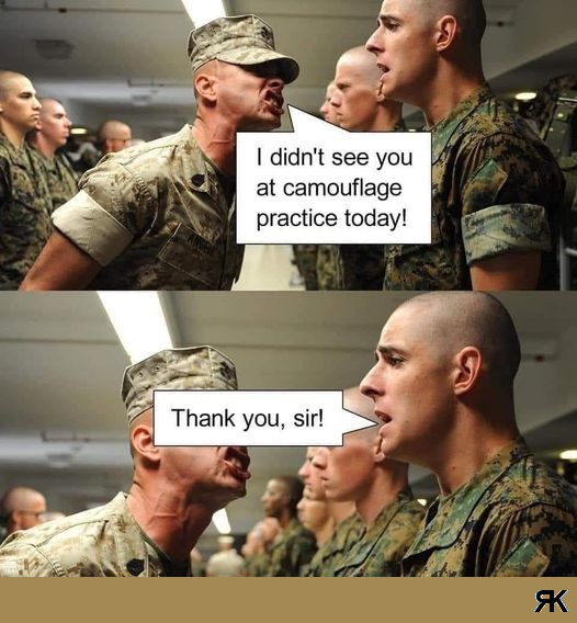 aa.jpg