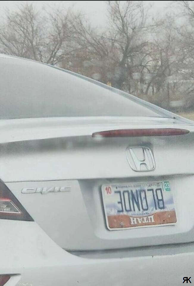aa.jpg