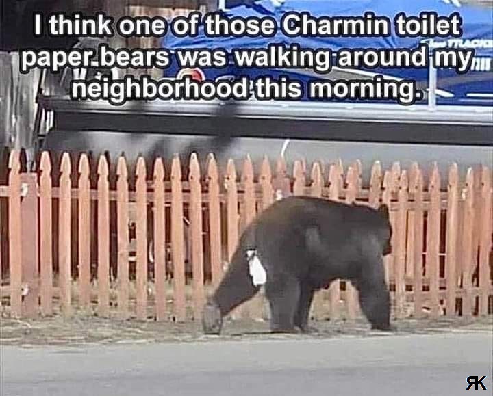 aa.jpg