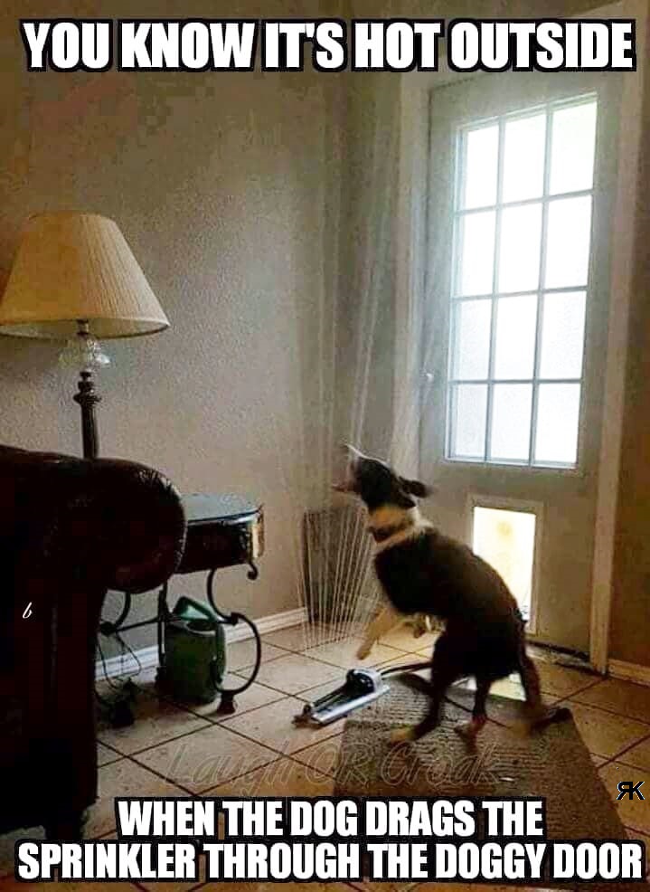aa.jpg