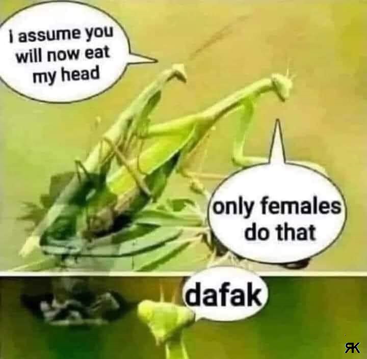 aa.jpg