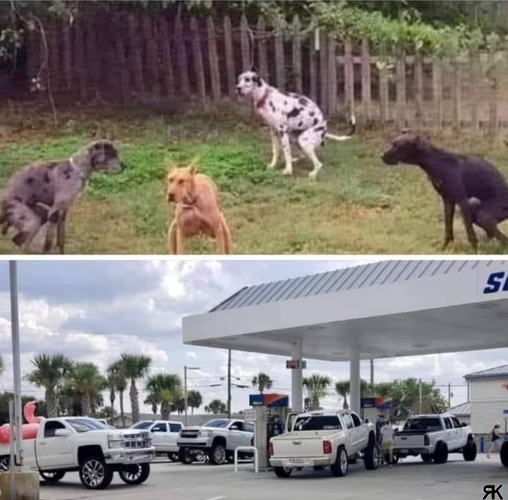 aa.jpg